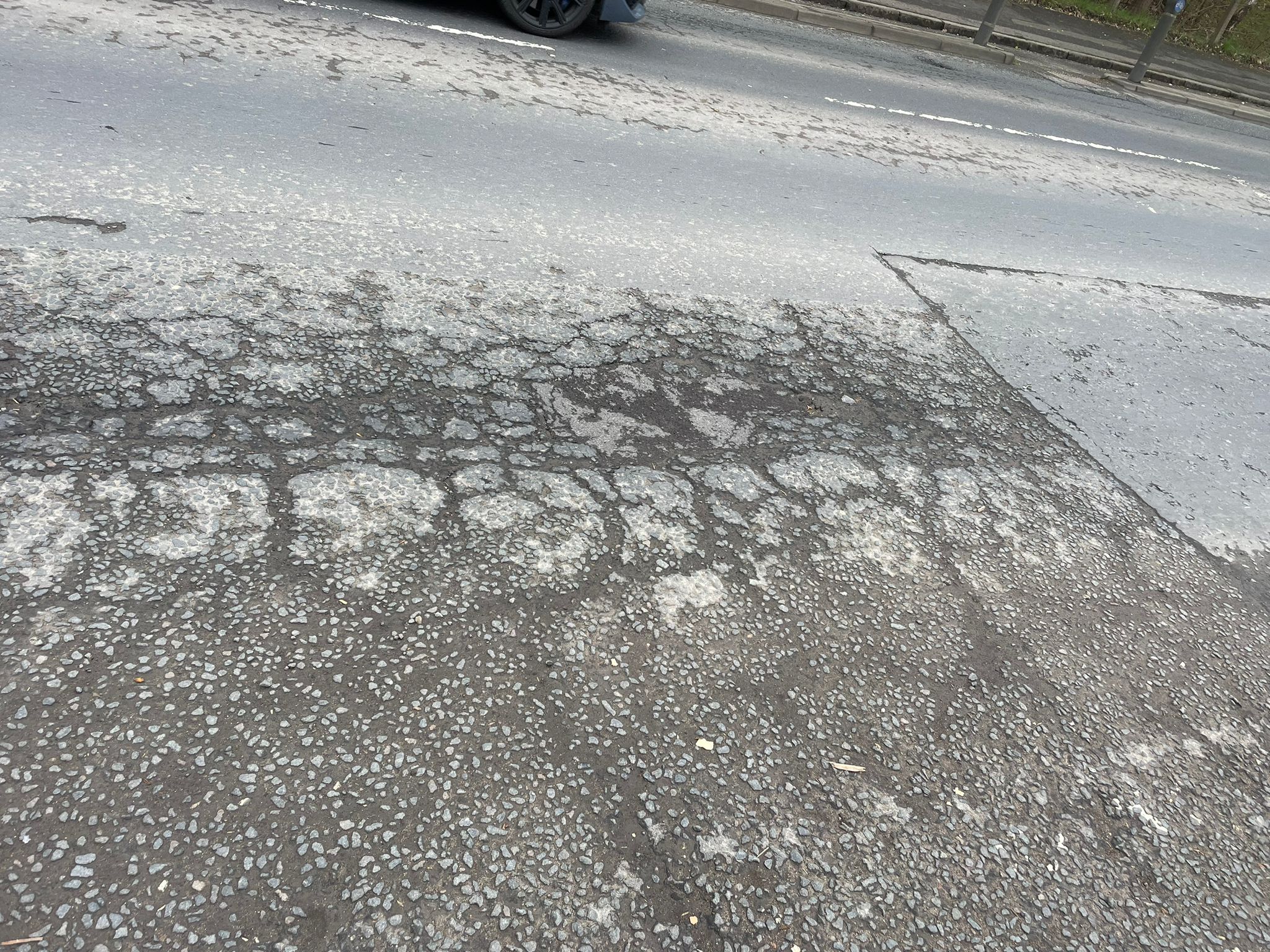 Alligator cracking pattern on Hamilton Road